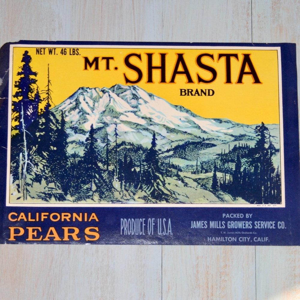 Original Vintage Mt. Shasta California Fruit Label